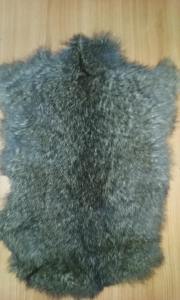 13237726_10154924340368289_625681680843494300_n